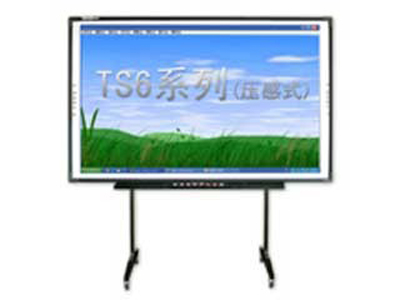 TS-6010