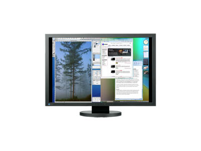 Eizo-FlexScan SX3031W