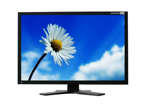 Eizo-FlexScan S3031W