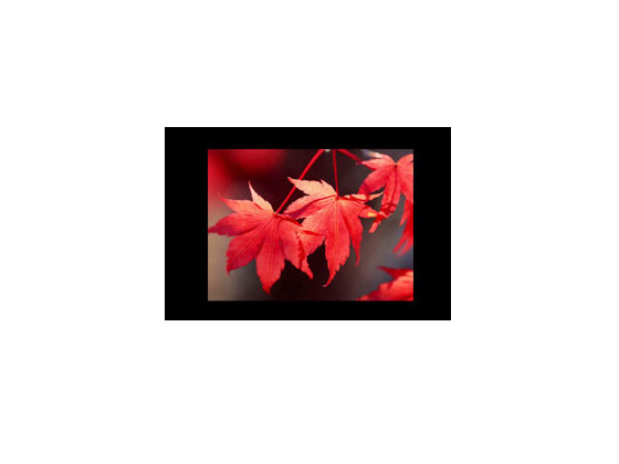 WҕABLDAD_15_01bVC(j)
