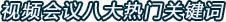 2010视频会议关键词