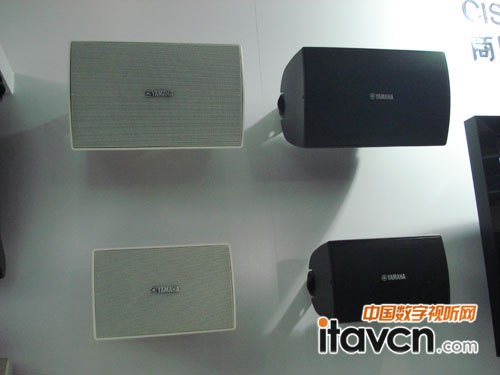 palm 2011CIS